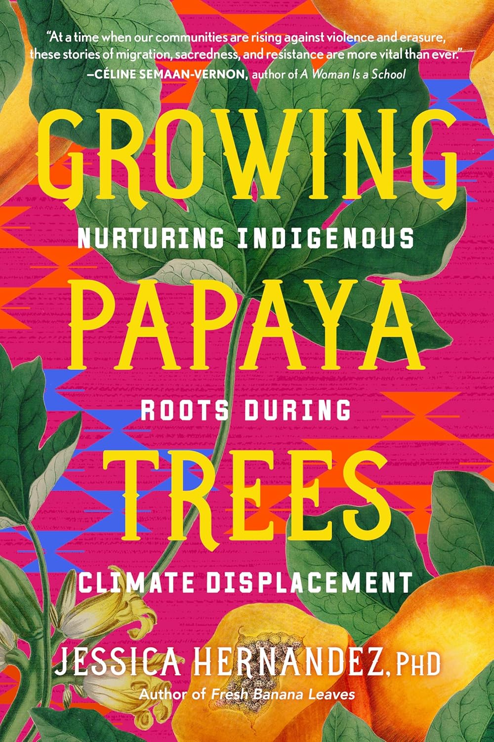 Growing Papaya Trees: Nurturing Indigenous Roots During Climate Displacement