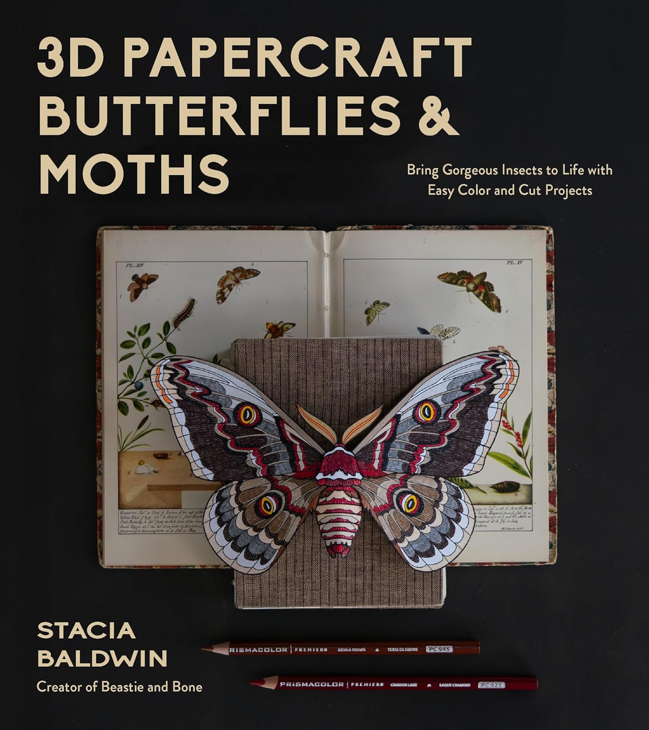 3D Papercraft Butterflies and Moths: Bring Gorgeous Insects to Life with Easy Color and Cut Projects