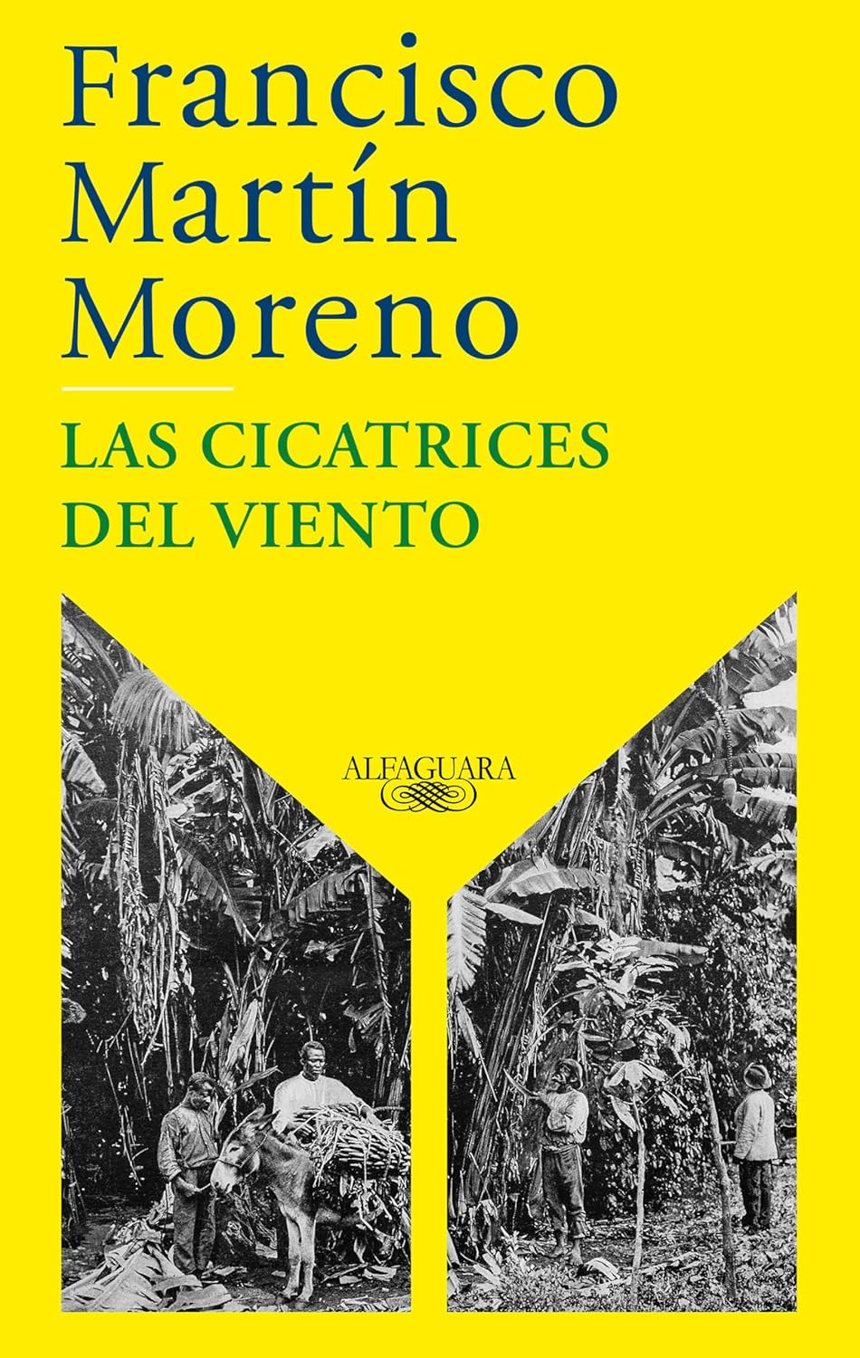 Las Cicatrices del Viento / The Scars of the Wind