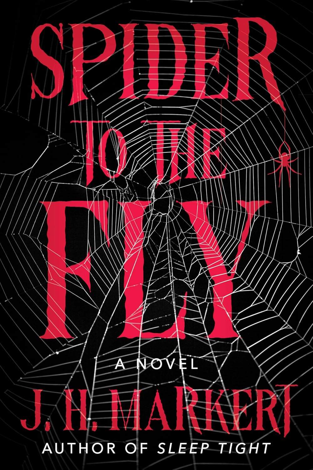 Spider to the Fly