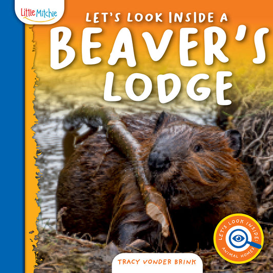 Let's Look Inside a Beaver's Lodge