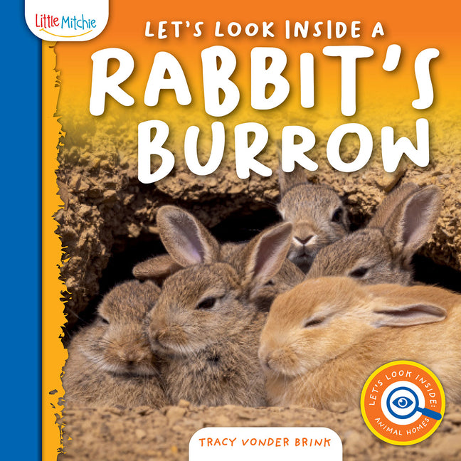 Let's Look Inside a Rabbit's Burrow