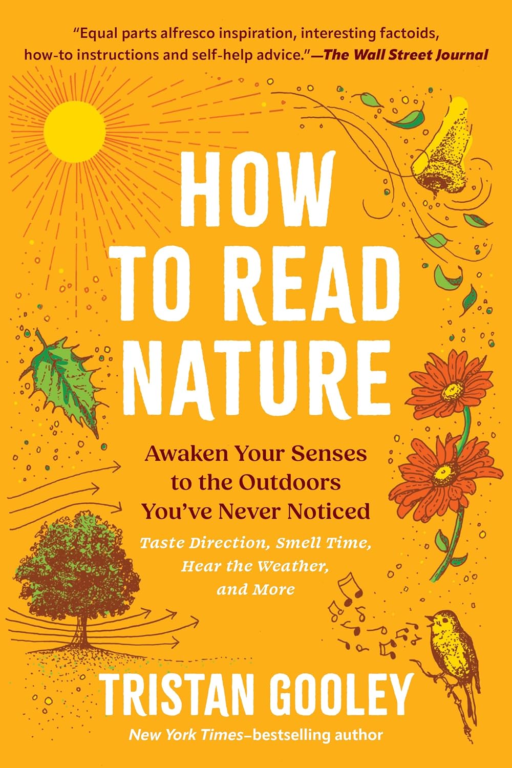 How to Read Nature: Awaken Your Senses to the Outdoors You've Never Noticed