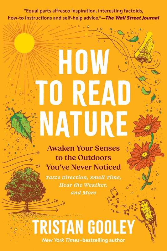 How to Read Nature: Awaken Your Senses to the Outdoors You've Never Noticed