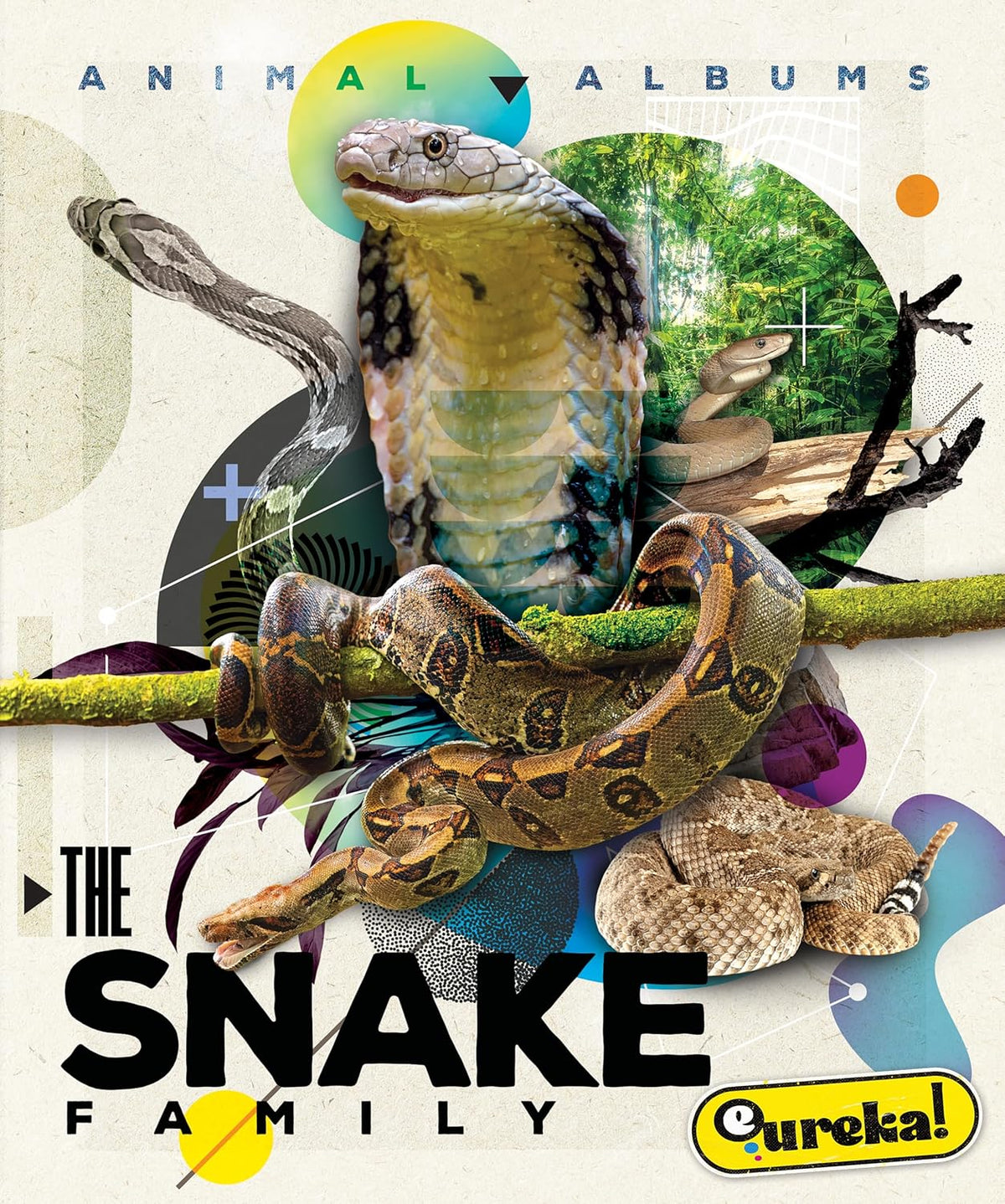 The Snake Family