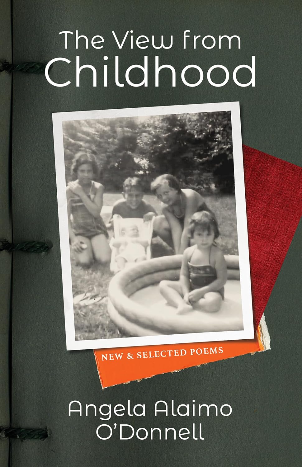 The View from Childhood: New and Selected Poems