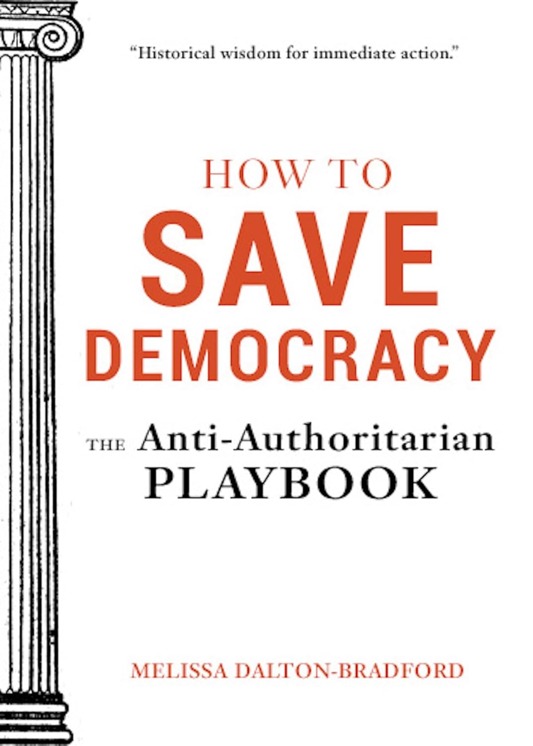 How to Save Democracy: The Anti-Authoritarian Playbook