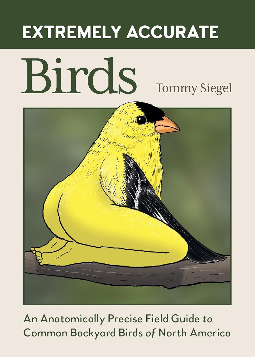 Extremely Accurate Birds: An Anatomically Precise Field Guide to Common Backyard Birds of North America