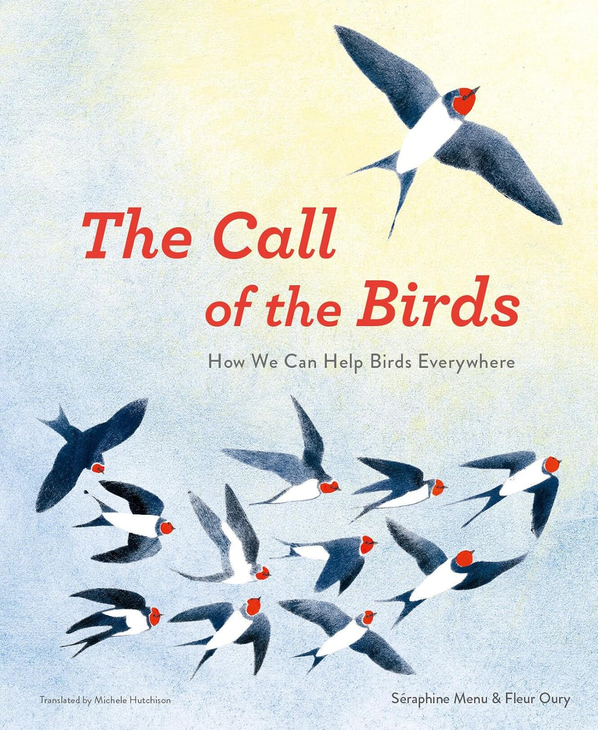 Call of the Birds: How We Can Help Birds Everywhere