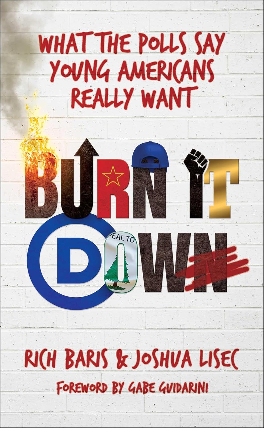 Burn It Down: What the Polls Say Young Americans Really Want
