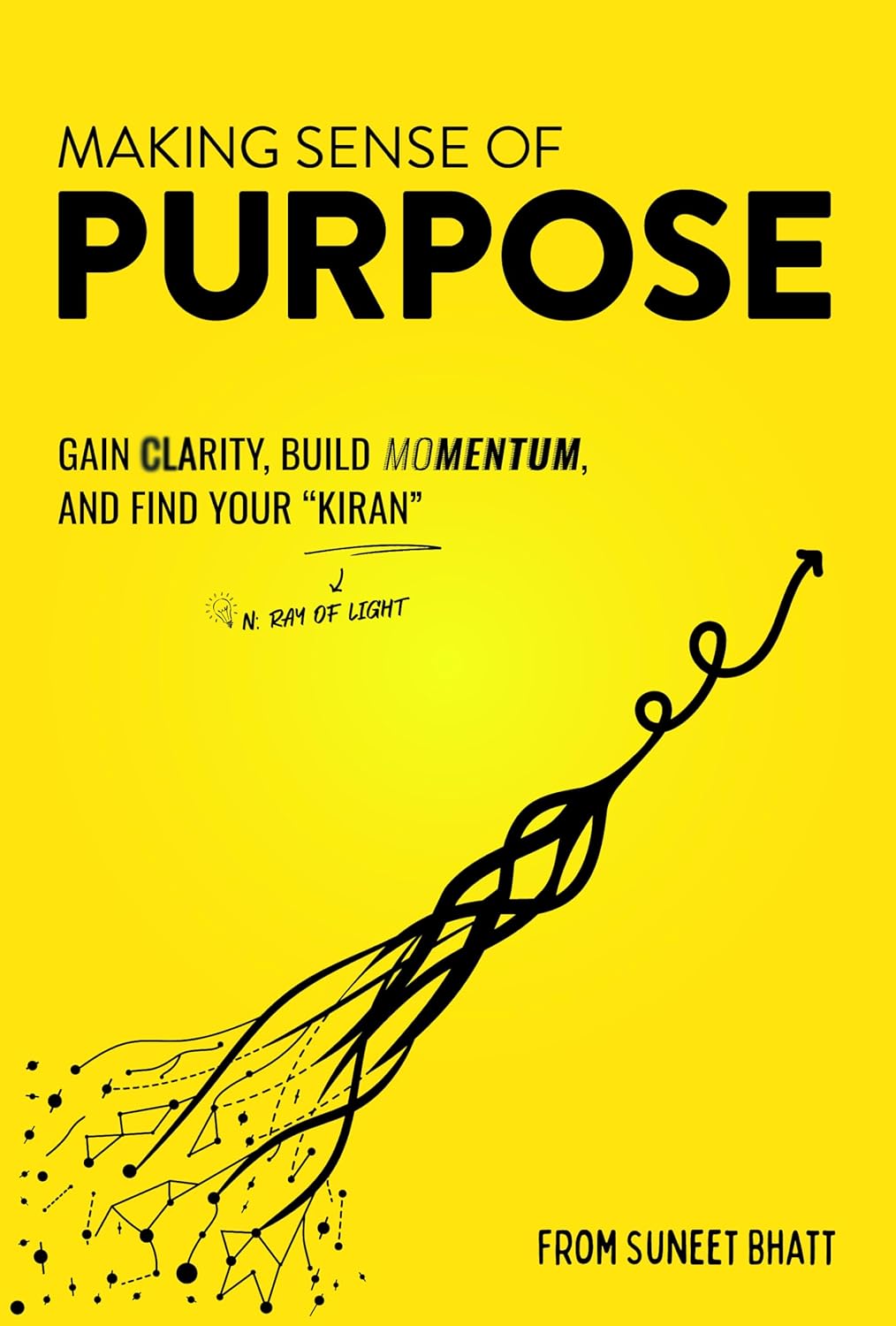 Making Sense of Purpose: Gain Clarity, Build Momentum, and Find Your "Kiran" (N. Ray of Light)