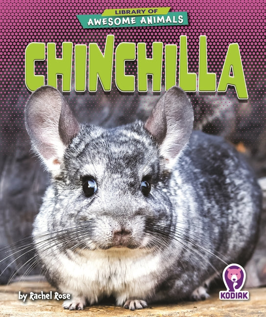 Chinchilla