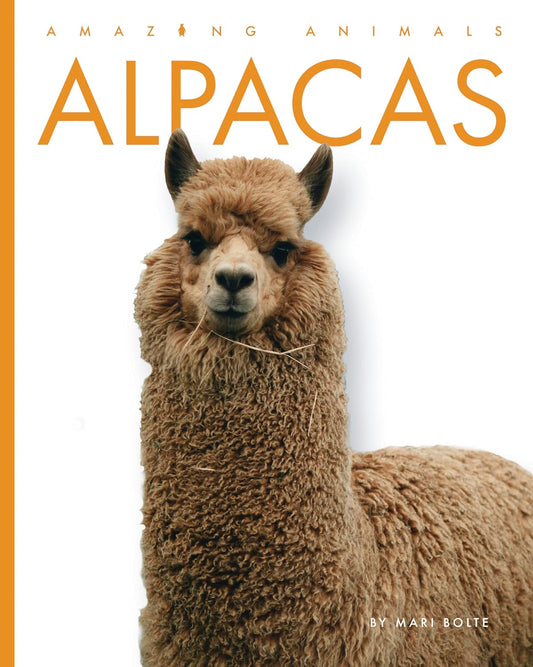 Alpacas