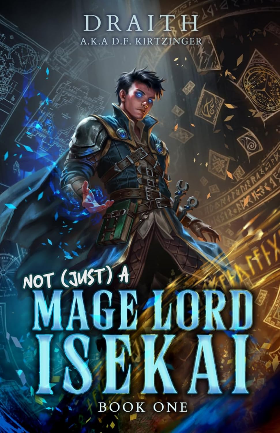 Not (Just) a Mage Lord Isekai 1: A LitRPG Adventure