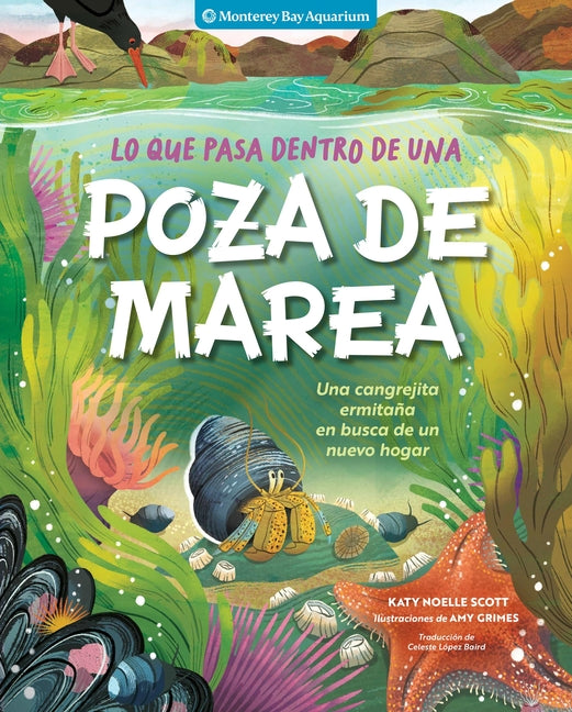 Lo Que Pasa Dentro de Una Poza de Marea: Una Cangrejita Ermitana En Busca de Un Nuevo Hogar