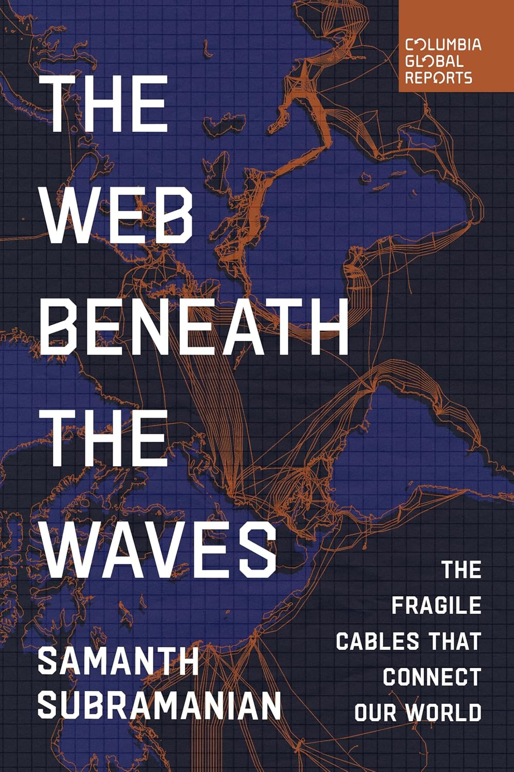 The Web Beneath the Waves: The Fragile Cables That Connect Our World