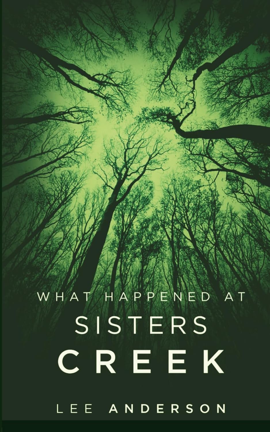 What Happened at Sisters Creek: A Horror Novel