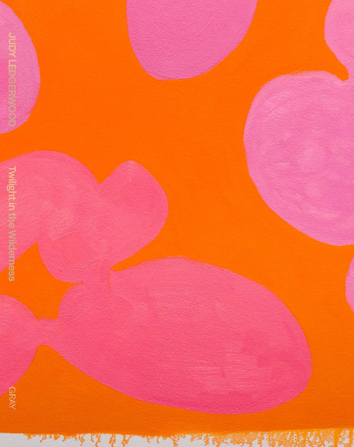 Judy Ledgerwood: Twilight in the Wilderness