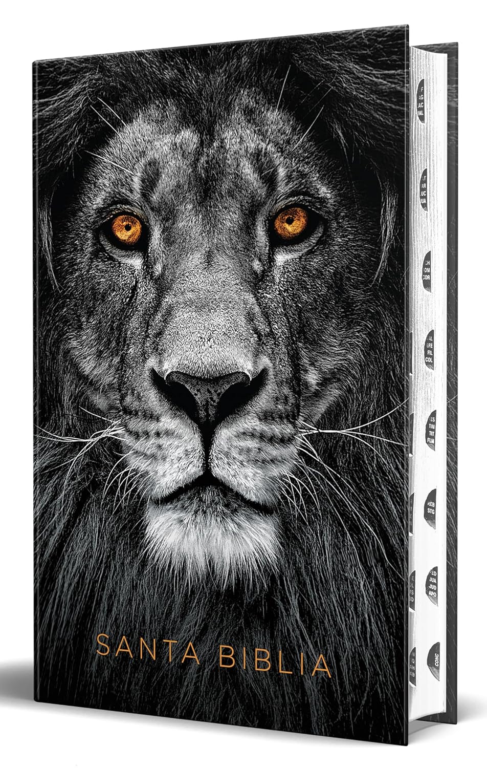 Biblia Rvr 1960 Letra Grande Tamano Manual, Tapa Dura Leon de Juda Con Indice / Spanish Bible Rvr 1960 Handy Size Large Print Hardcover Lion of Judah