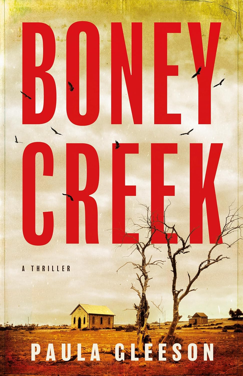 Boney Creek: A Thriller