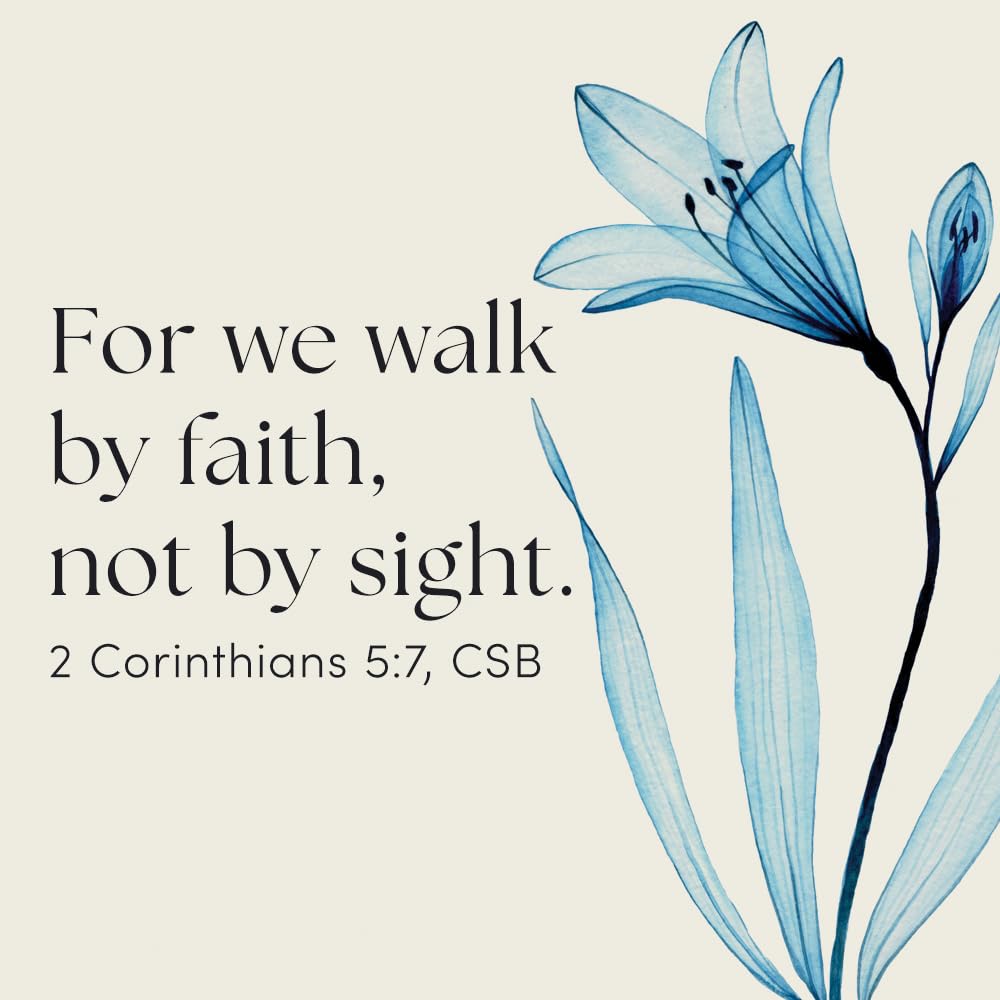 Heaven - Bible Study Book with Video Access: When Faith Becomes Sight