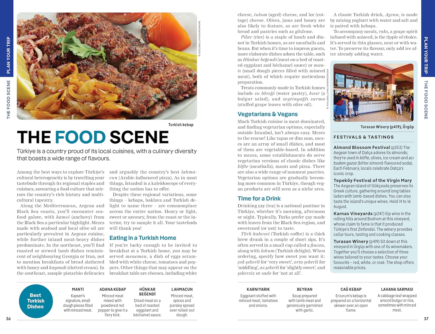 Lonely Planet Turkiye