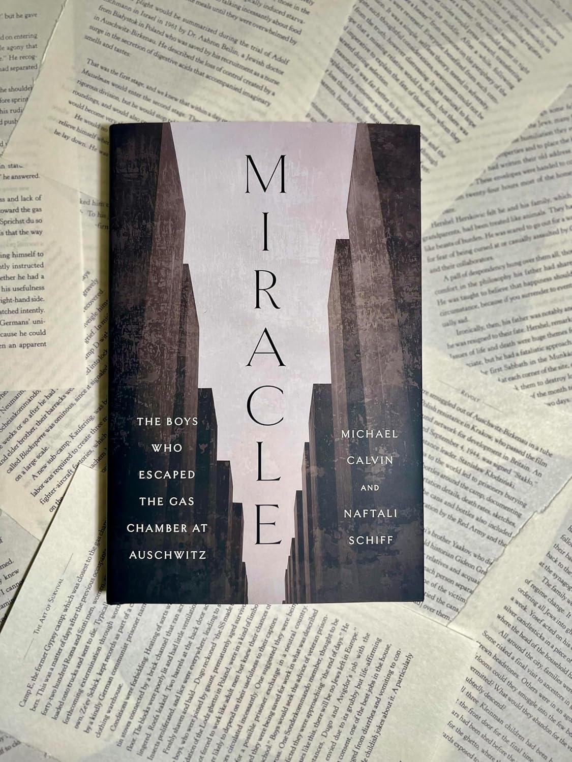 Miracle: The Boys Who Escaped the Gas Chamber at Auschwitz