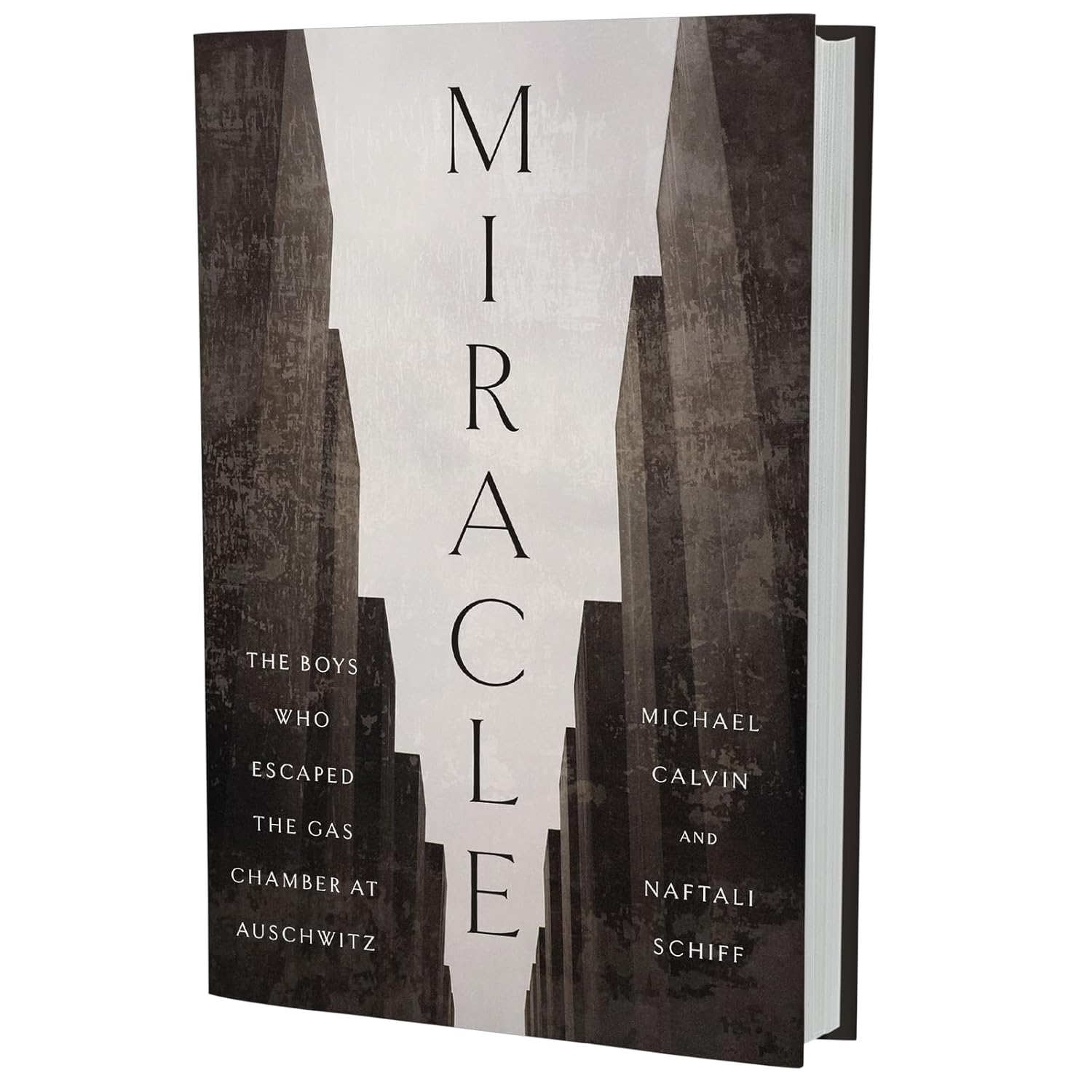 Miracle: The Boys Who Escaped the Gas Chamber at Auschwitz