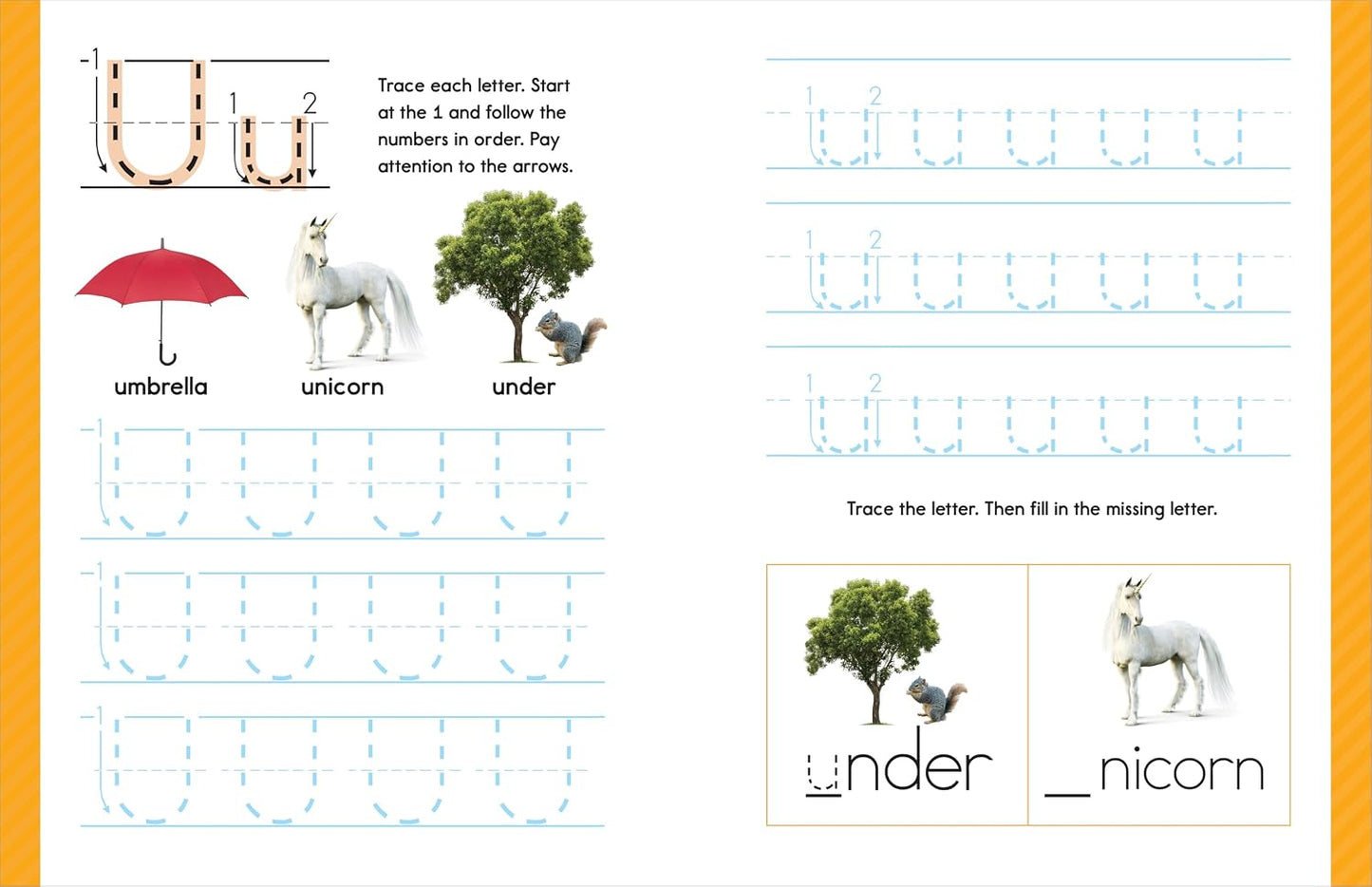 My First Learn-to-Write Workbook (Wipe Clean Edition): Pen Control, Line Tracing, Letters, and More! (My First Preschool Skills Workbooks)