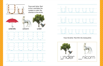 My First Learn-to-Write Workbook (Wipe Clean Edition): Pen Control, Line Tracing, Letters, and More! (My First Preschool Skills Workbooks)
