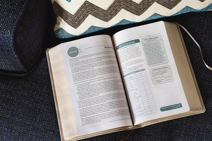 NIV, Couples' Devotional Bible