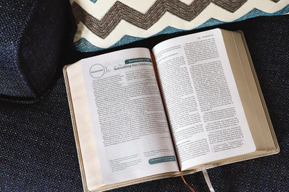 NIV, Couples' Devotional Bible