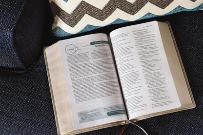 NIV, Couples' Devotional Bible