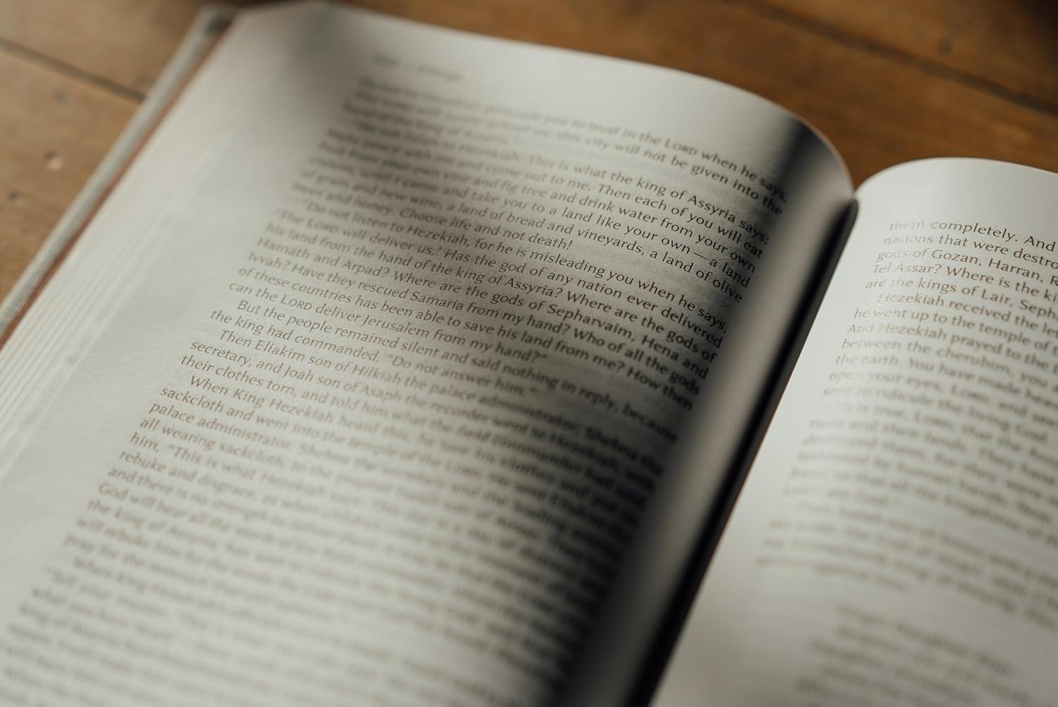 NIV Lectio Bible: A simple, ancient way to read the library of Scripture, Cloth over Board: The Practicing the Way edition with an introduction by John Mark Comer