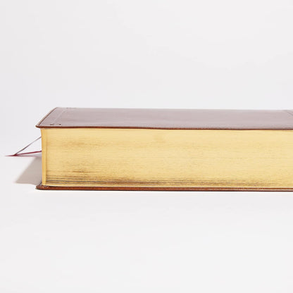 NKJV Study Bible
