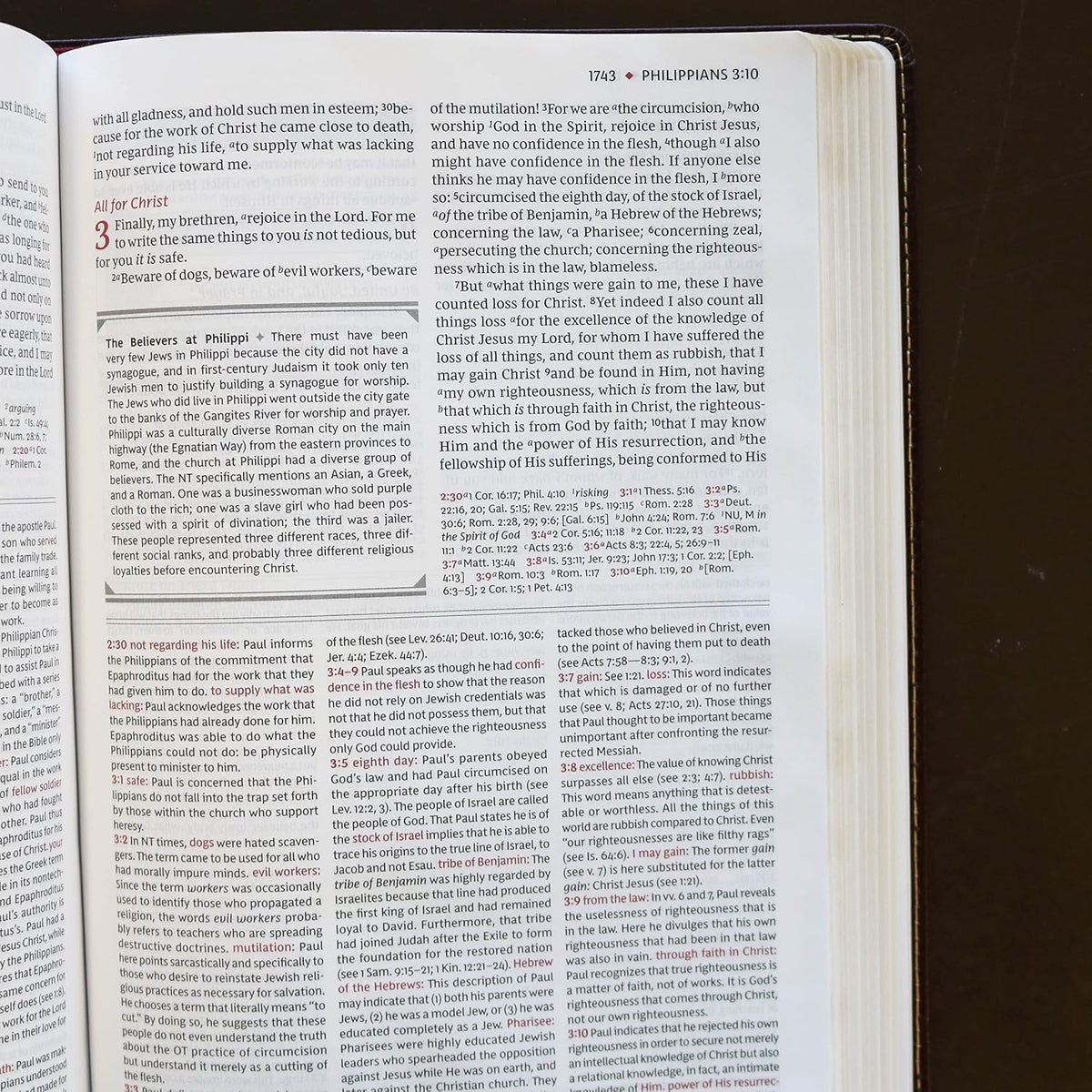 NKJV Study Bible
