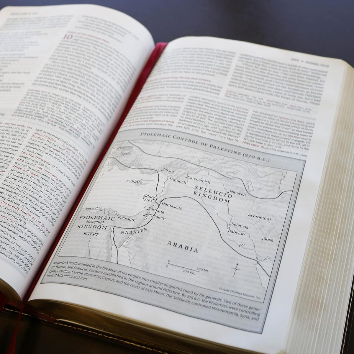 NKJV Study Bible