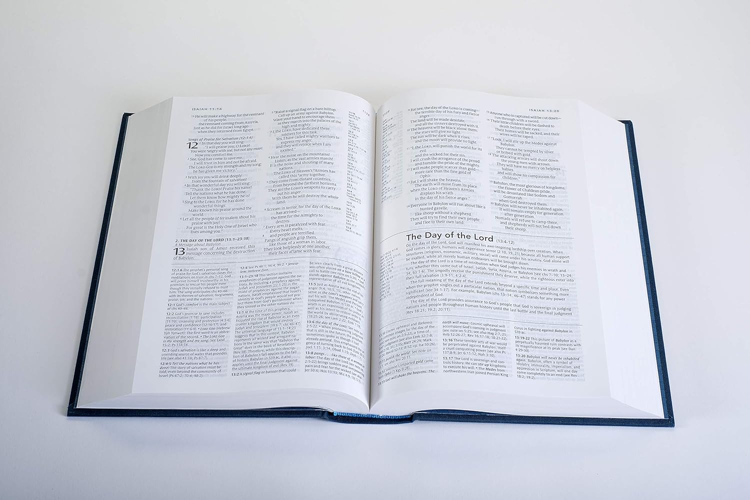 NLT Study Bible