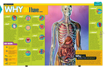 National Geographic Kids Why?: Over 1,111 Answers to Everything (NGK Why?)