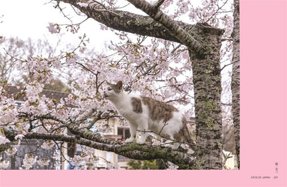 Neko