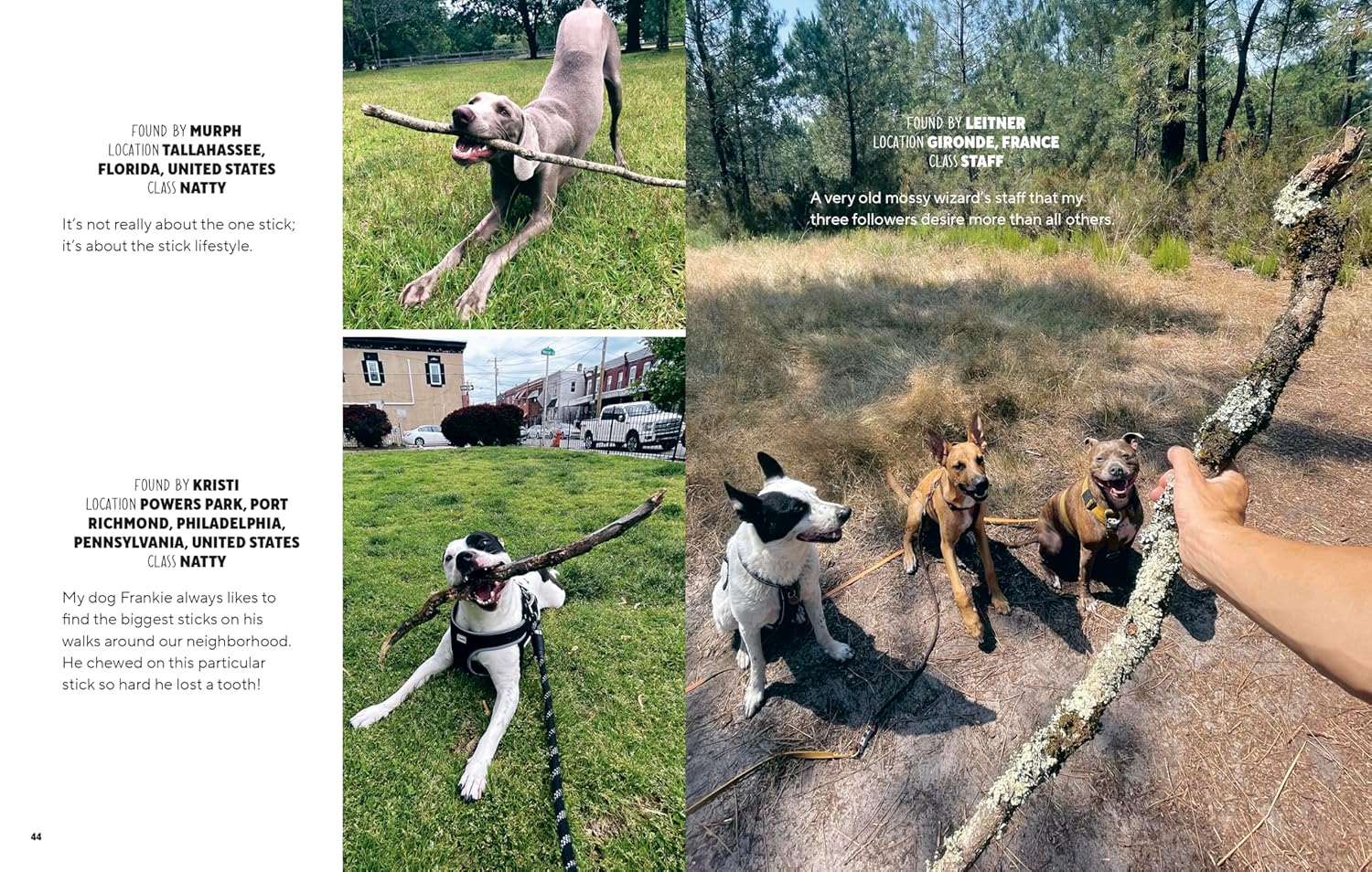 Sticks: A Collection of Sticks & the People Who Love Them, from the Founders of Stick Nation