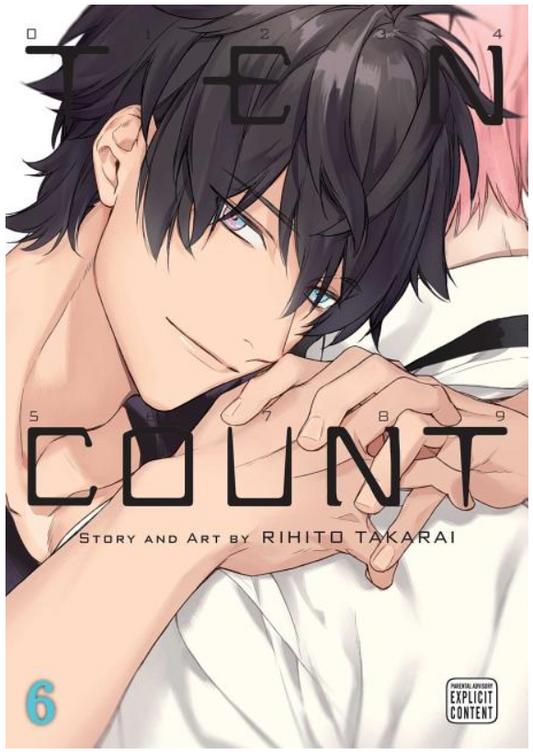 Ten Count, Vol. 6 (Ten Count 6)
