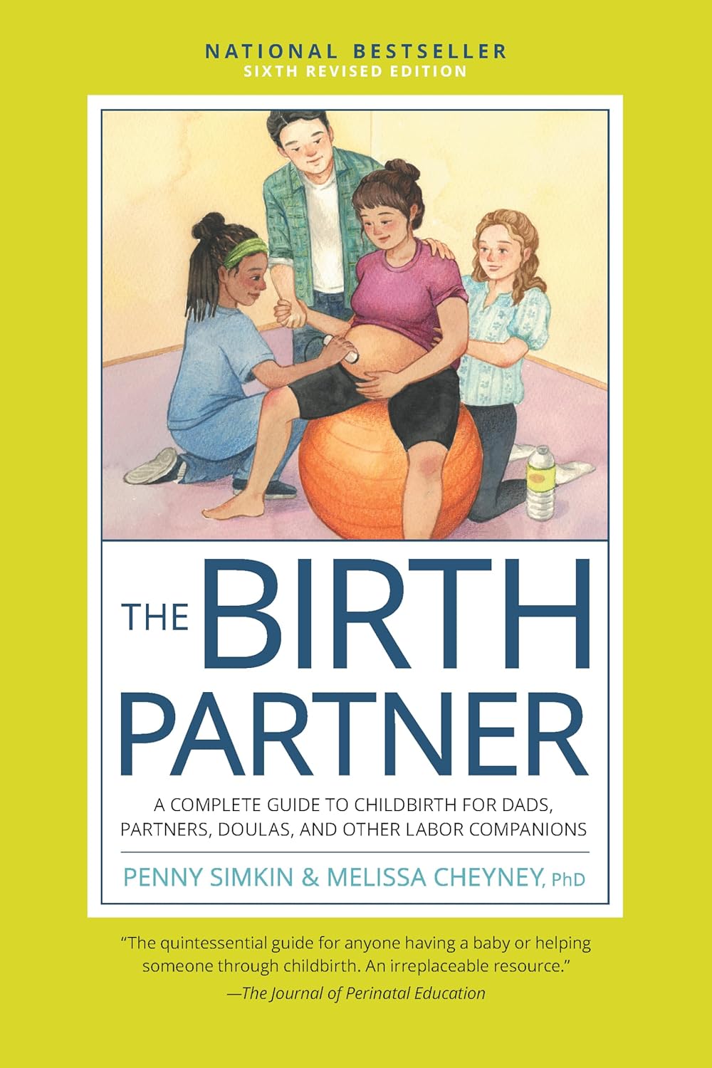 The Birth Partner, Sixth Revised Edition: A Complete Guide to Childbirth for Dads, Partners, Doulas, and Other Labor Companions (Revised)