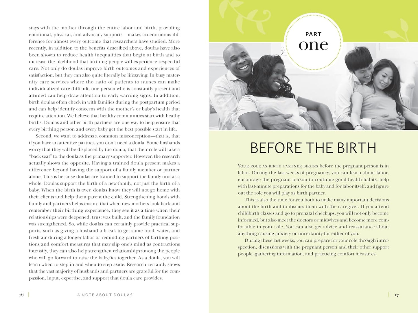 The Birth Partner, Sixth Revised Edition: A Complete Guide to Childbirth for Dads, Partners, Doulas, and Other Labor Companions (Revised)