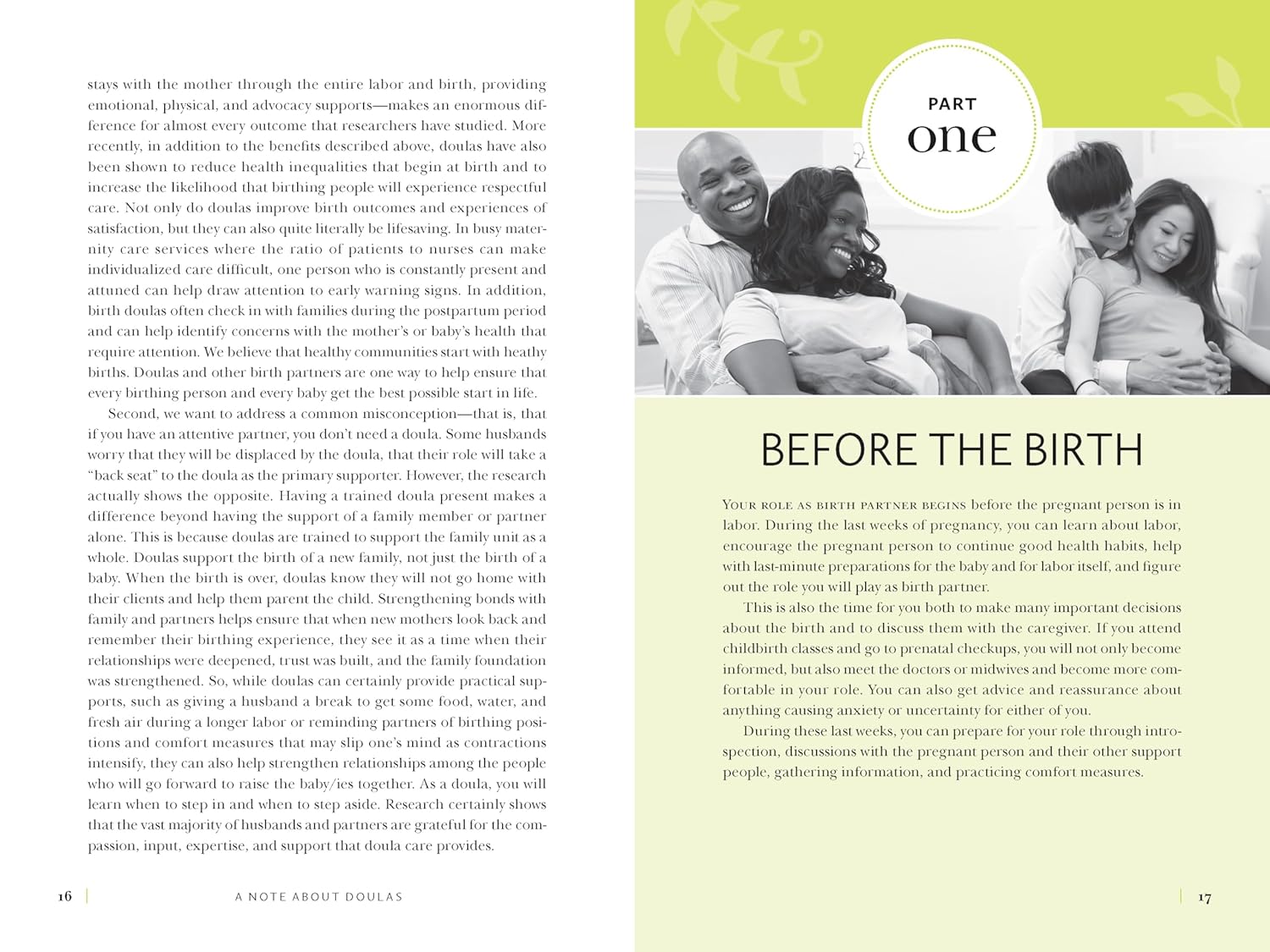 The Birth Partner, Sixth Revised Edition: A Complete Guide to Childbirth for Dads, Partners, Doulas, and Other Labor Companions (Revised)
