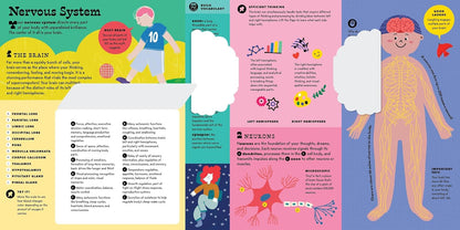 The Interactive Human Body