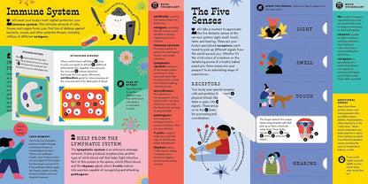 The Interactive Human Body