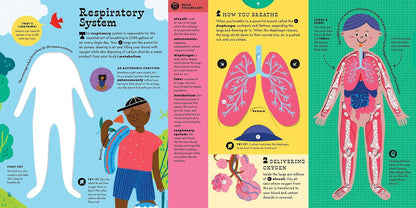 The Interactive Human Body