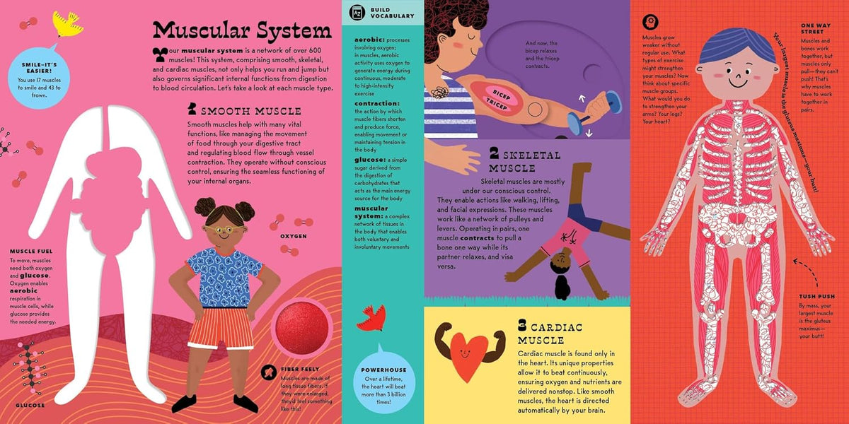 The Interactive Human Body