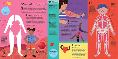 The Interactive Human Body